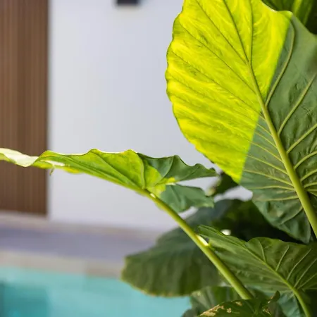 Vakantiehuis Aurea Lujo Piscina Climatizada Vistas Al Mar