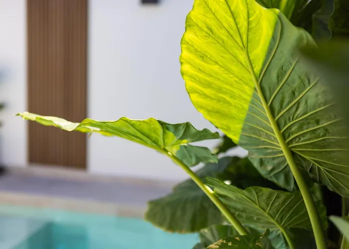 펜션 Aurea Lujo Piscina Climatizada Vistas Al Mar